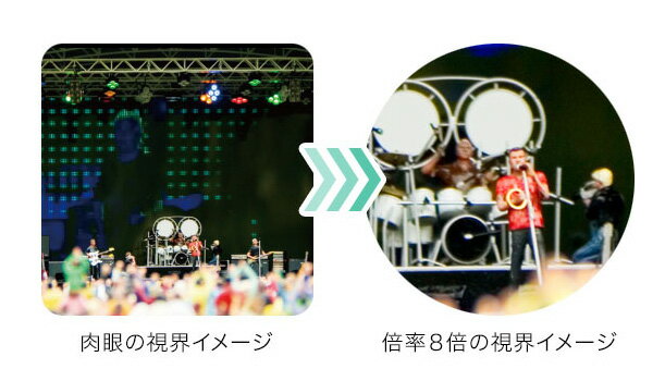 RF コンパクト双眼鏡 RXB317M