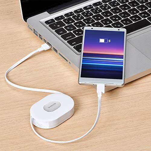 SEIWA A to Cリールケーブル D578