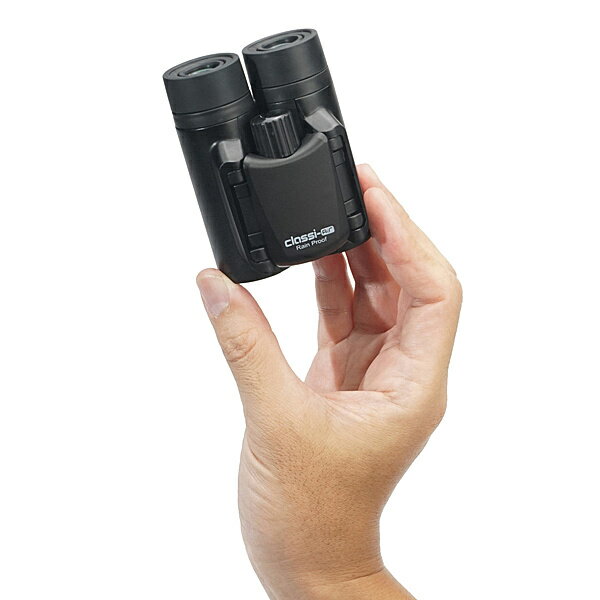 ケンコー クラッシーエアー 10*21DH マットブラック MC-MATBK(1個)