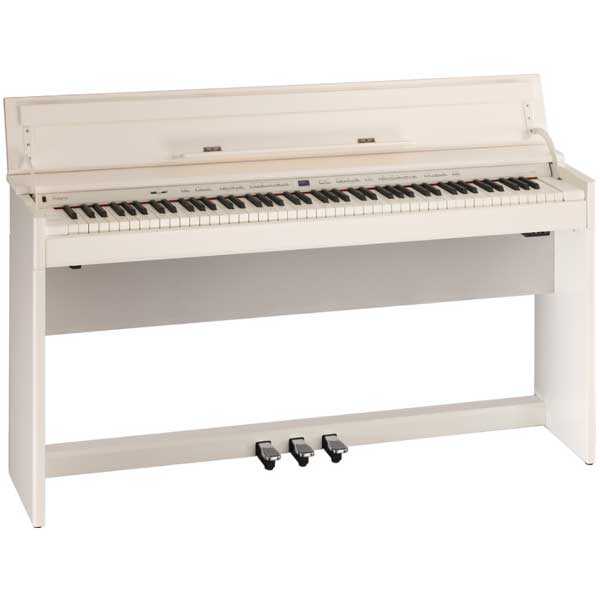 楽天市場】ローランド （ROLAND/ローランド)S-240P/S240P（DC電源