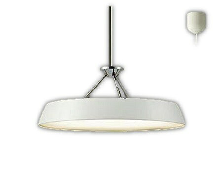 楽天市場】大光電機 DAIKO LEDペンダントライト DPN-38895 Y | 価格