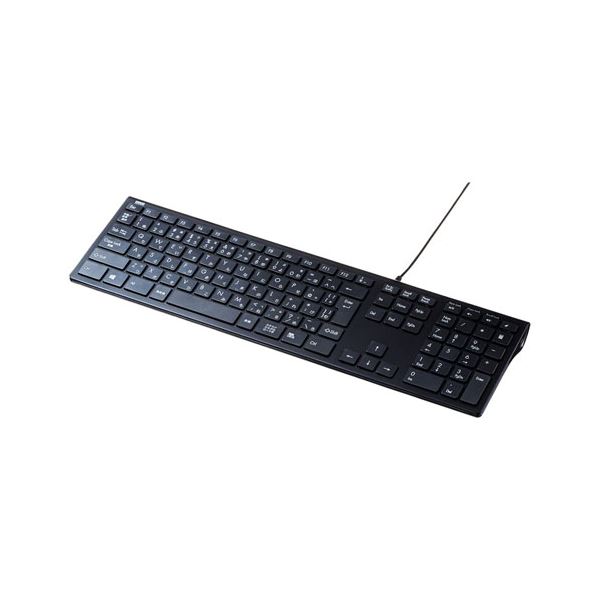 SANWA SUPPLY USBスリムキーボード SKB-SL33BK
