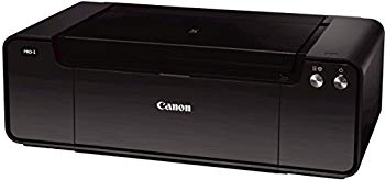 楽天市場】キヤノン Canon インクジェットプリンター PIXUS PRO-100