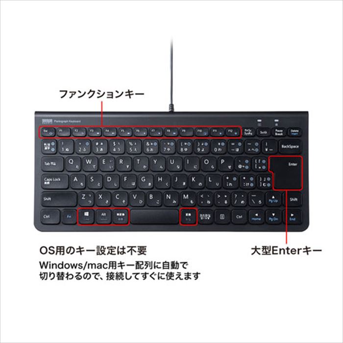 SANWA SUPPLY USB Type-Cスリムキーボード SKB-SL32CBK