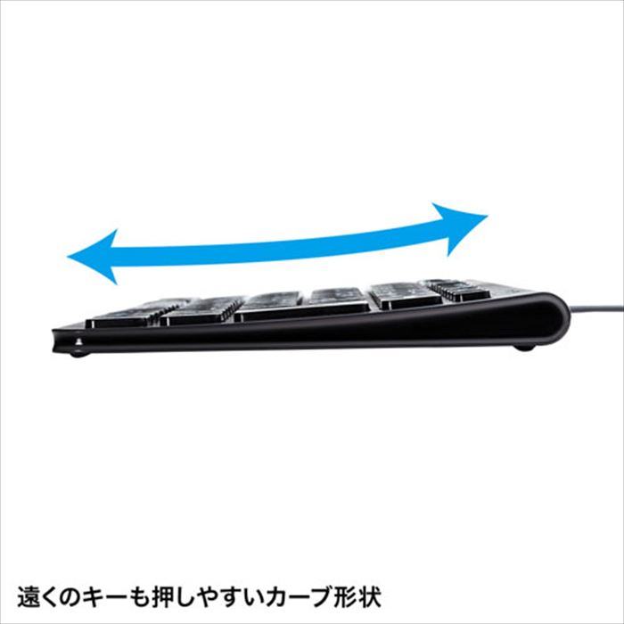 SANWA SUPPLY USB Type-Cスリムキーボード SKB-SL32CBK