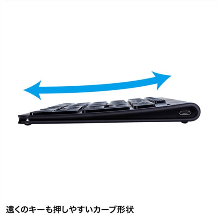 SANWA SUPPLY マウス付きワイヤレスキーボード SKB-WL31SETBK
