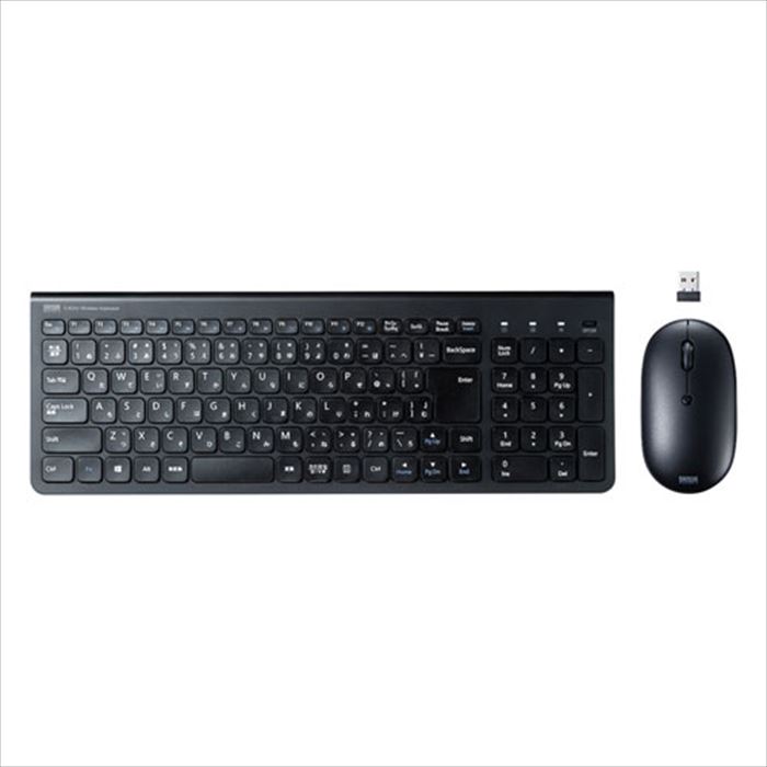 SANWA SUPPLY マウス付きワイヤレスキーボード SKB-WL31SETBK