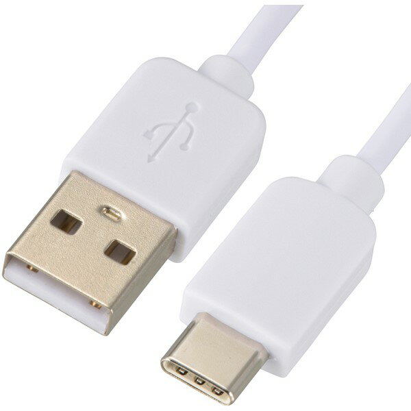 AudioComm 電池式充電器 スマートフォン用 USB TypeC MAV-LR03C-W(1個)