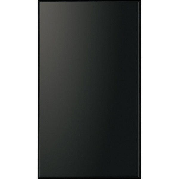 SHARP  Brain 電子辞書 PN-HW431