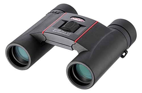 Kowa Seisakusho - KOWA 双眼鏡　PROMINAR BD32-8XD BD/BDⅡシリーズ｜双眼鏡 製品情報｜興和オプトロニクス