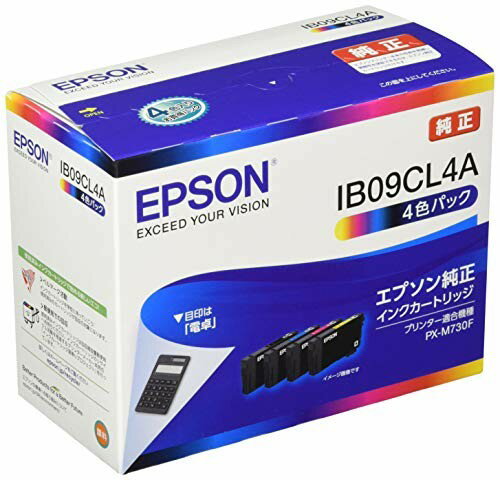 EPSON インクカートリッジ IB09CL4A