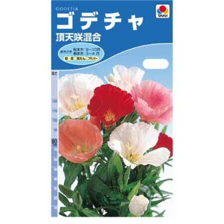 タキイ種苗 ゴデチャ 頂天咲混合 0.5ml
