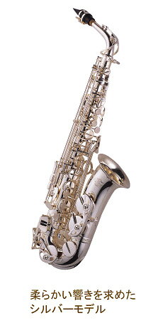 楽天市場】キョーリツコーポレーション Kaerntner ケルントナー アルト