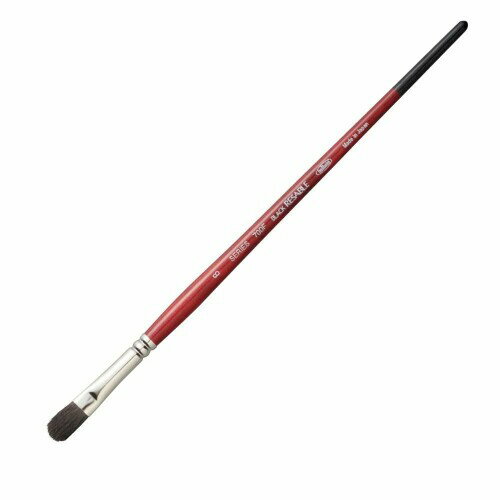 ホルベイン ブラックリセーブル 700F-8