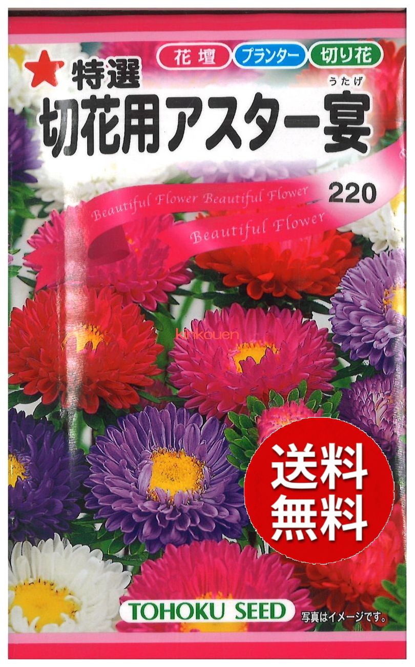 トーホク 特選切花用アスター 宴