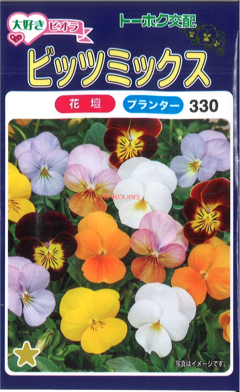 トーホク ビオラ 1P