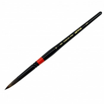 アムス 画筆 キャムロンプロ 620 12