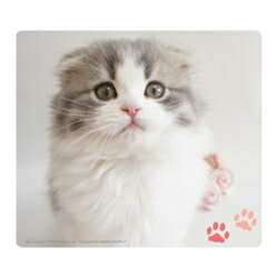 サンワサプライ 動物マウスパッド SmooZoo スコティッシュフォールド MPD-215E