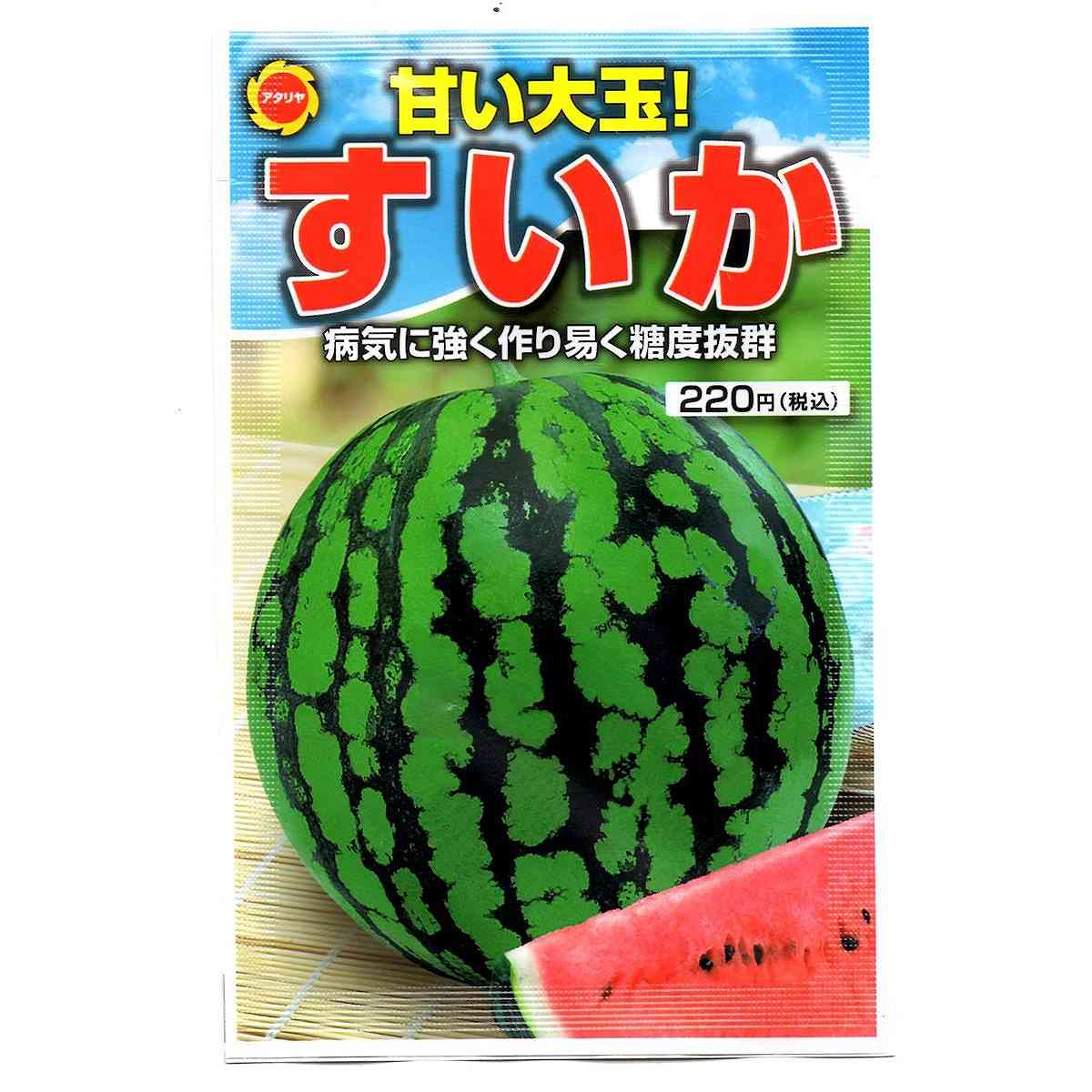 楽天市場】タキイ種苗 タキイ種苗 野菜種 スイカネオブラック