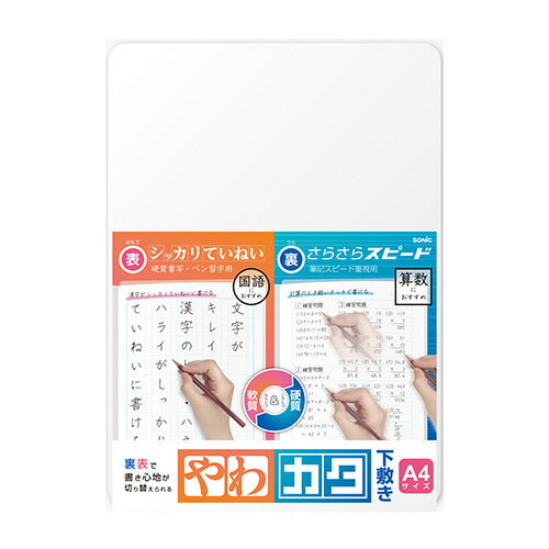 Amazon.co.jp: B5下敷死蔵品?レイメイ 快傑ライオン丸 ムササビ