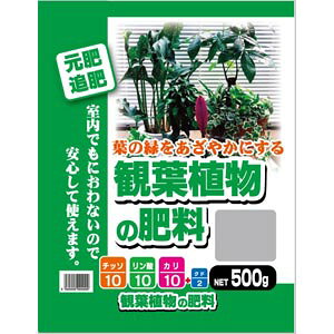 観葉植物　aとb 楽天市場】住友化学園芸 エードポトリン4号 観葉植物用 120g | 価格