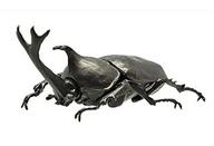 楽天市場】Linx リンクス Linx それゆけ!カブトムシくん カブトムシ