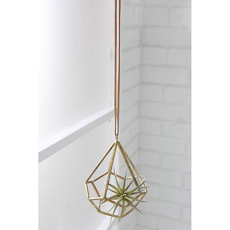 コベントG ブリリアントフレームハング