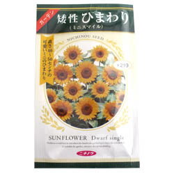 日本農産 矮性ひまわりミニスマイル 1P