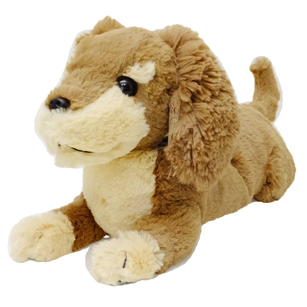 楽天市場】サンレモン ひざわんこ ミニチュアダックス（BR） | 価格