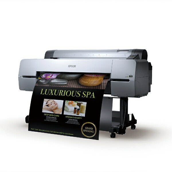 EPSON カラリオPM-D800プリンタ Amazon.co.jp: EPSON カラリオ・プリンタ PM-D800 [PM-D800