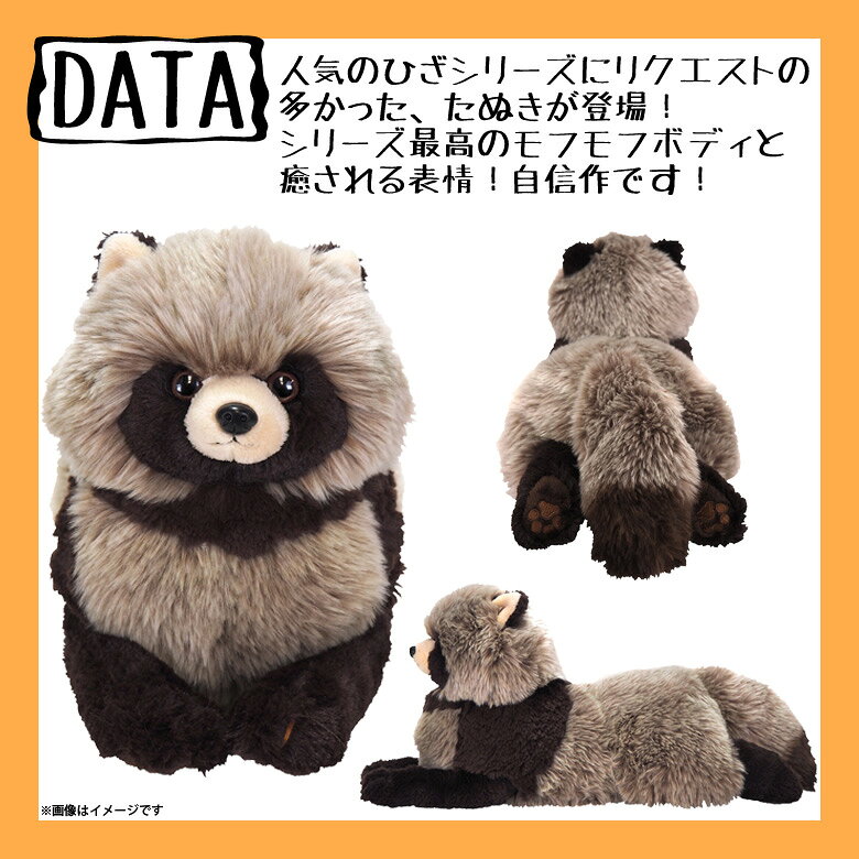 楽天市場】サンレモン ひざたぬき ぬいぐるみ（M） | 価格比較 - 商品