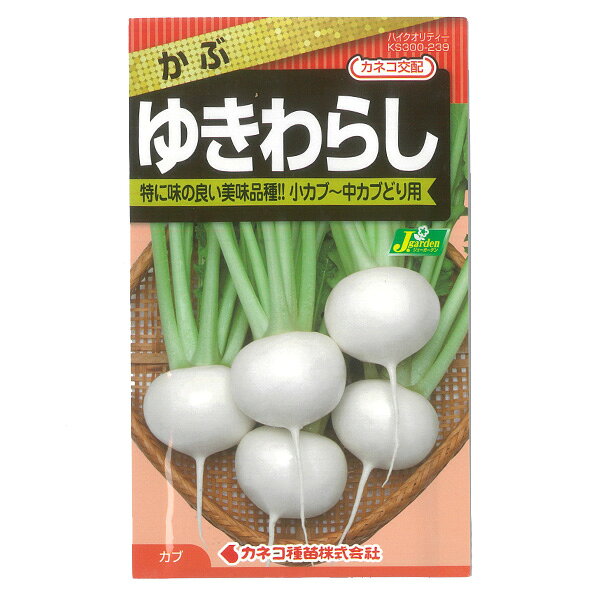 カネコ種苗 園芸・種 KS300シリーズ ゆきわらしかぶ 野菜300 239