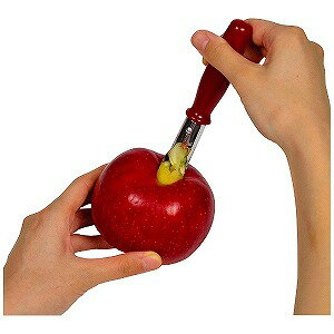 CC1257 ガジェコン りんごの芯抜き H
