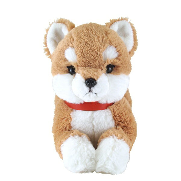 楽天市場】サンレモン ひざわんこ ぬいぐるみ（M） ゴールデン