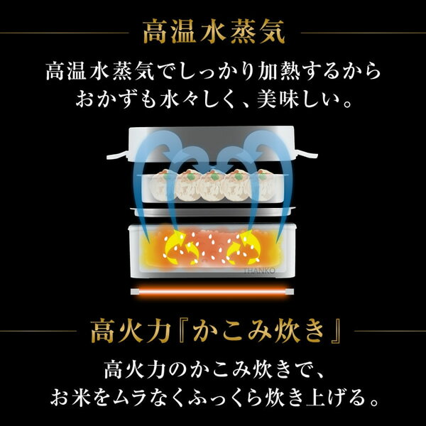 サンコー お米もおかずもこれ一台！ 2段式超高速弁当箱炊飯器 TKFCLDRC(1個)