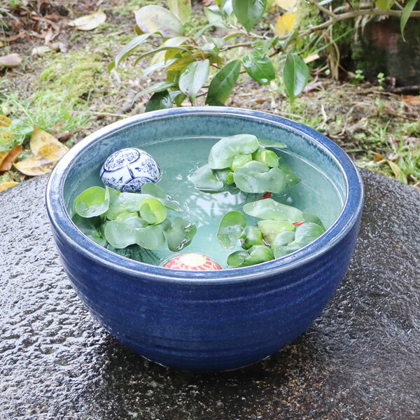 楽天市場】サンブルーム 睡蓮鉢 金魚 メダカに 約 | 価格比較 - 商品