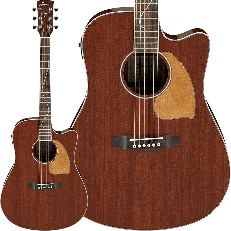 楽天市場】星野楽器 Ibanez アイバニーズ アコースティックギター