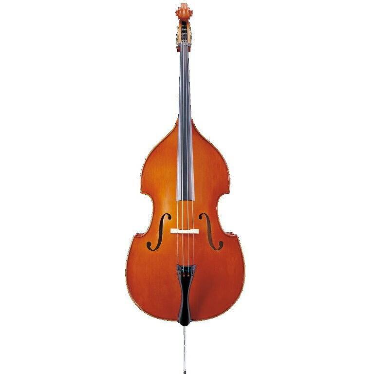 楽天市場】キクタニミュージック STENTOR/ステンター STENTOR