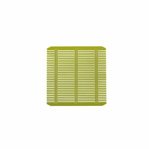 福井クラフト 強化PP竹ス 正角 145 グリーン