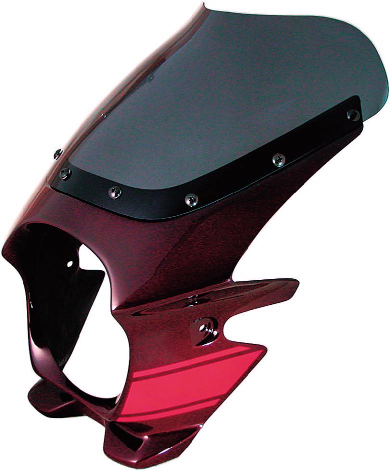 N-PROJECT ブラスター2 CB750 04- レッド Nプロジェクトブラスター2 CB750 RC42 ビキニカウル