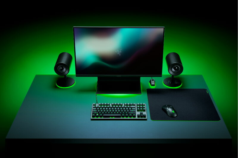 RAZER ゲーミングマウスパッド Gigantus V2 L RZ02-03330300-R3M1