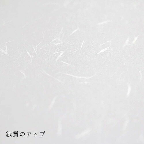 大直 onao  礼状紙 白 b5   206000005