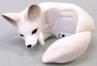 楽天市場】メガハウス どろぼうギツネのマジックパンツ | 価格比較
