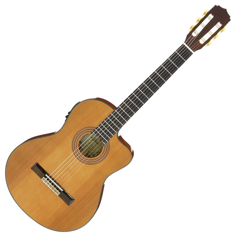 楽天市場】星野楽器 Ibanez AEG10NII-TNG | 価格比較 - 商品価格ナビ