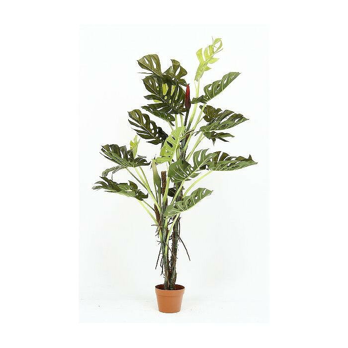 観葉植物 造花 約幅80cm スプリット 6号鉢対応 22 52667 インテリアグリーン リビング 店舗 ショップ お店