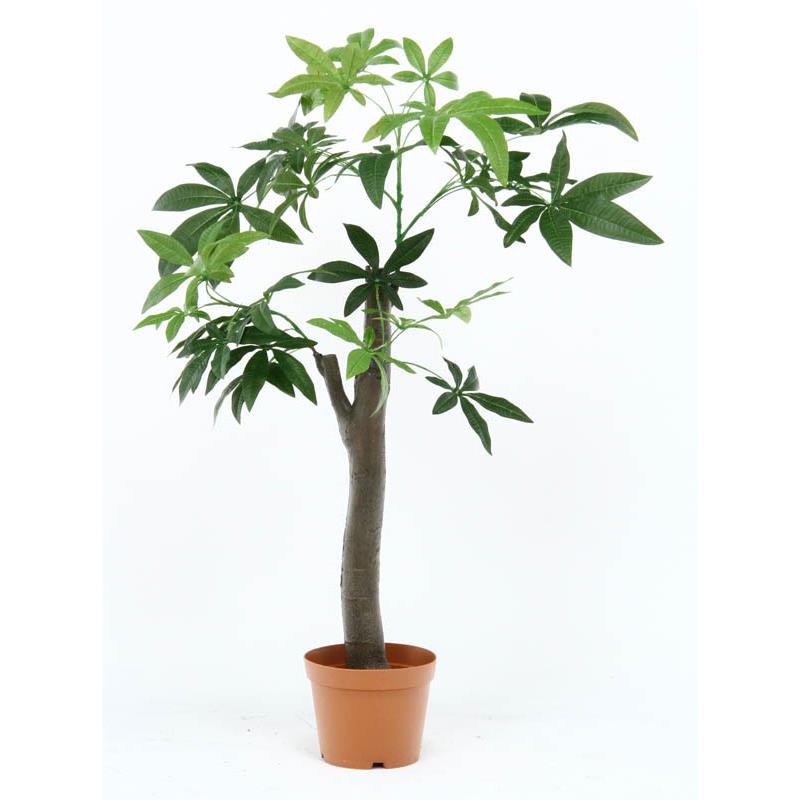 観葉植物 造花 パキラ 朴の木タイプ 8号鉢対応 幅90cm リビング ダイニング インテリア雑貨 備品 什器