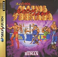 ファイプロ外伝ブレイジングトルネード セガサターン