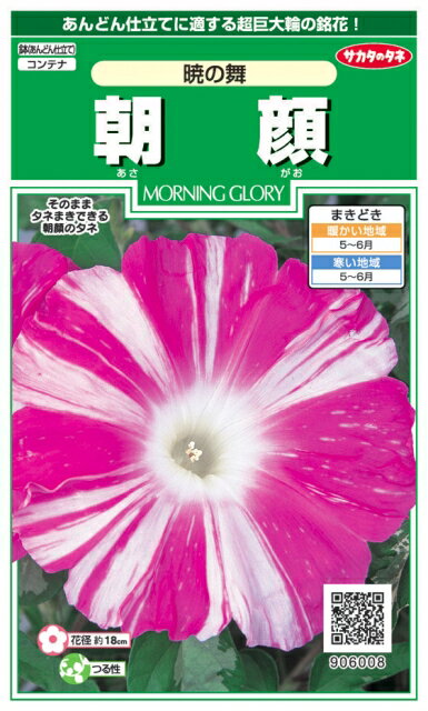 サカタのタネ｜SAKATA SEED CORPORATION 実咲 朝顔 暁の舞 906008