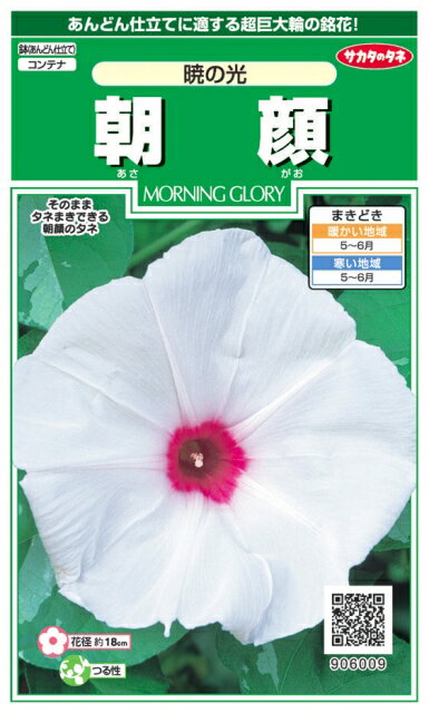 サカタのタネ｜SAKATA SEED CORPORATION 実咲 朝顔 暁の光 906009