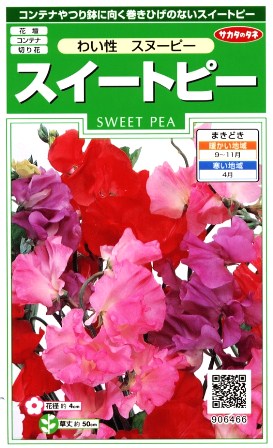 スイートピー わい性スヌーピー